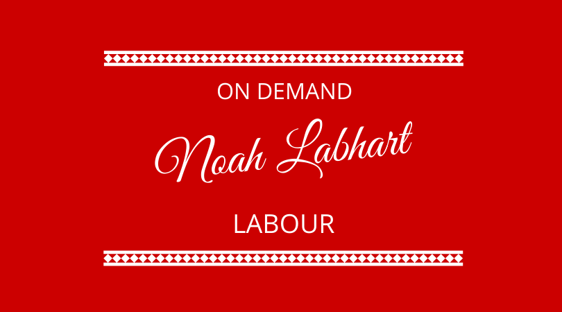 #224 Noah Labhart – On Demand Labour